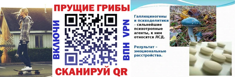 Галлюциногенные грибы мицелий  Купить закладки  Талдом 